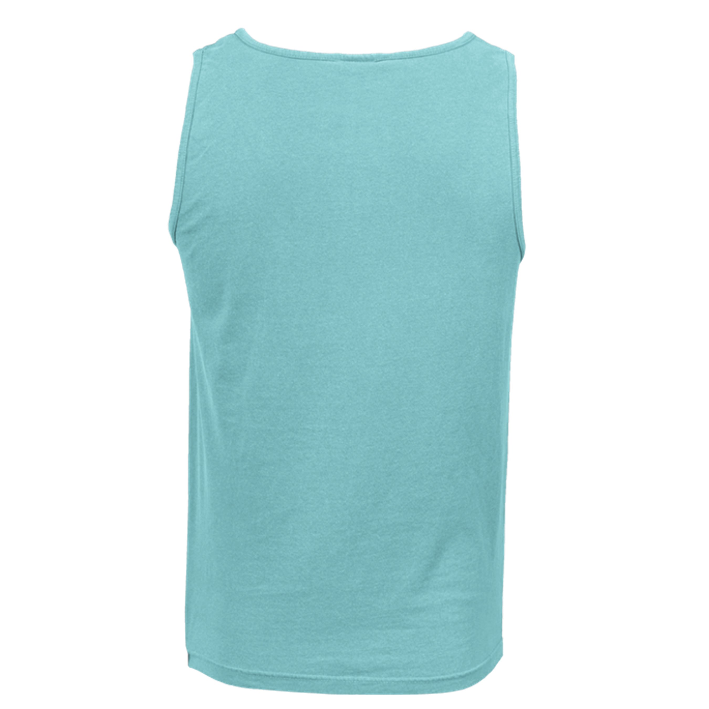 Chalky Mint - C9360 - BACK